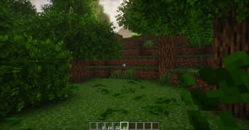 Leaf Litter Plus ✅ screenshot