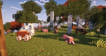 Craft Hub screenshot