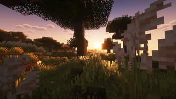 Fresh Vines screenshot