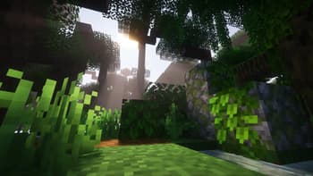 Fresh Vines screenshot