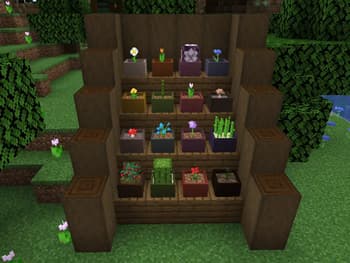 Botany Pots screenshot