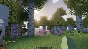 High-Performance Pro+ screenshot
