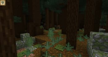 Natural Philosophy screenshot