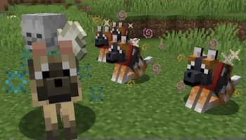 Wild Wolves screenshot