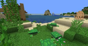 NanoMagic screenshot