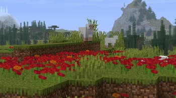Weskerson's Nature screenshot