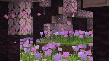 Weskerson's Nature screenshot