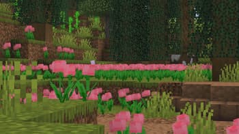 Weskerson's Nature screenshot