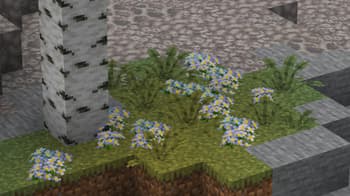 Weskerson's Nature screenshot