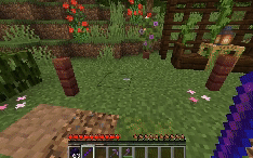 Warp Portals ─ Portal teleportation screenshot