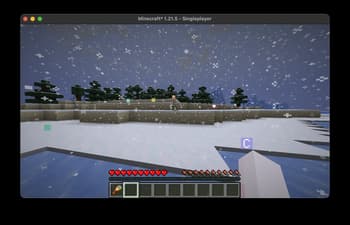 Server Waypoint screenshot