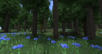 Woodlands:Extra screenshot
