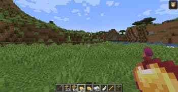 BackInv screenshot