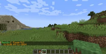 BackInv screenshot