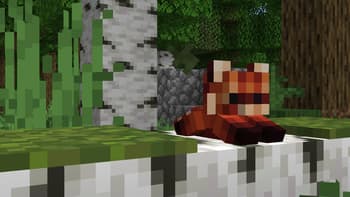 (Red) Panda Plushies! screenshot