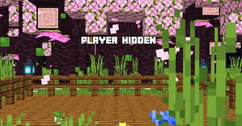 Player Hider (Funnest's Edition) screenshot