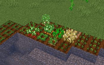 vanilla pvp screenshot
