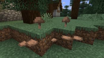 Magex's Shelf-Shrooms screenshot