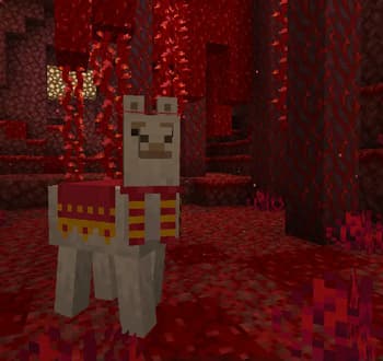 Llama Steeds screenshot