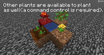 Saplanting screenshot