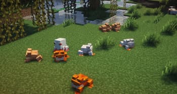 Assorted Frogs screenshot