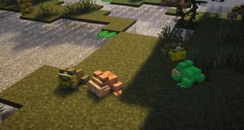 Assorted Frogs screenshot