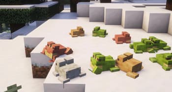 Assorted Frogs screenshot