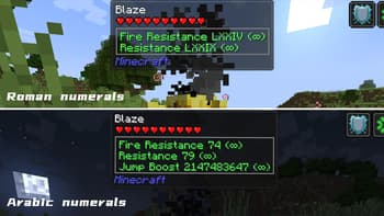 PotionLevelFix screenshot