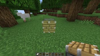 Blocks Previewer screenshot