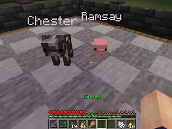 Better Babies screenshot