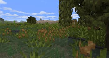 Nature's Spirit screenshot