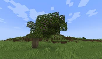 Azalea Wood Set screenshot