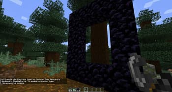 Disableportal screenshot