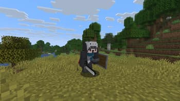 Vanilla NPC screenshot