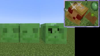 Torturable Healthbars screenshot