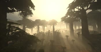 Tan's Huge Trees screenshot