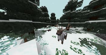 Arboreal Nature screenshot
