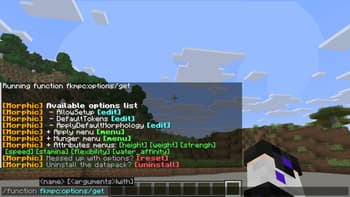 Morphic screenshot