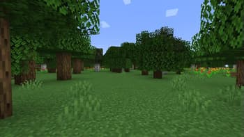disable front camera screenshot