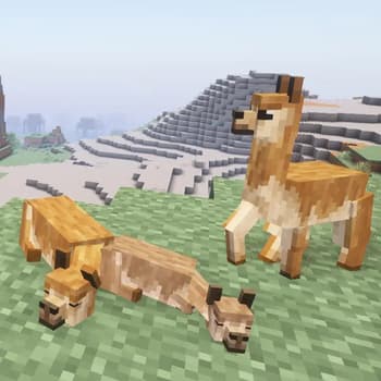 Animal Garden - Vicuna screenshot
