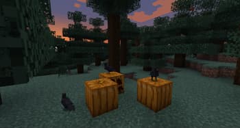 Fowl Play screenshot
