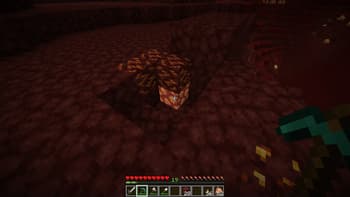 ReNether screenshot