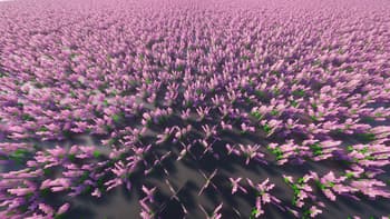 TchicX Modpack screenshot
