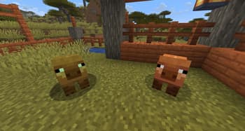 Salt's Animal Farm screenshot
