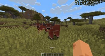 Salt's Animal Farm screenshot