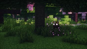 Survival Reborn screenshot