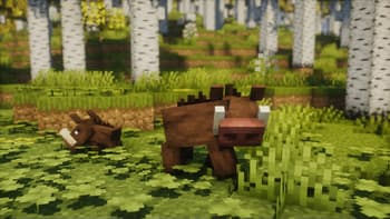 Survival Reborn screenshot
