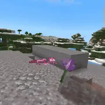 Fresh Flowers and Plants VR screenshot