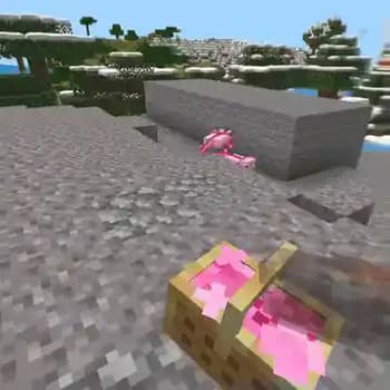 Fresh Flowers and Plants VR screenshot