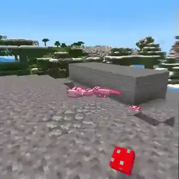 Fresh Flowers and Plants VR screenshot